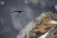 Karwendelspitze